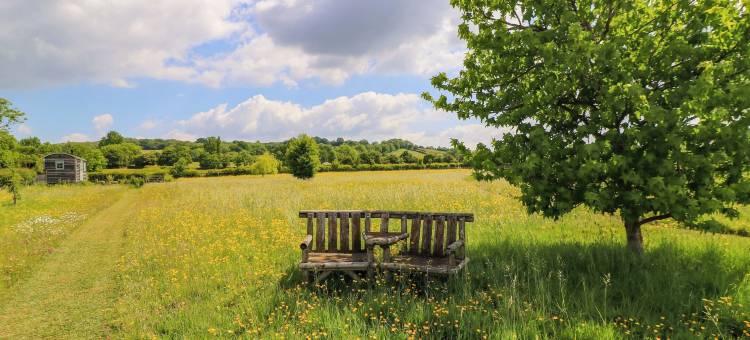 鹅鸣小屋(Goose Whistle Hut)图片