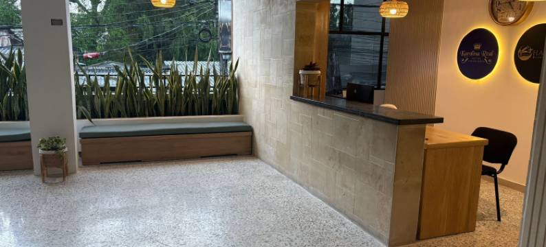 卡罗琳娜真实酒店体验(karolina Real Hotel Experience)图片