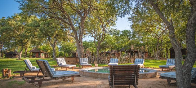 仙捷拉旅行者帐篷营(Shindzela Tented Camp)图片