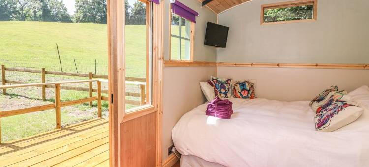 铁路马车酒店(Railway Carriage)图片