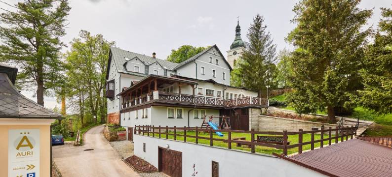 AURI酒店(Hotel Auri)图片