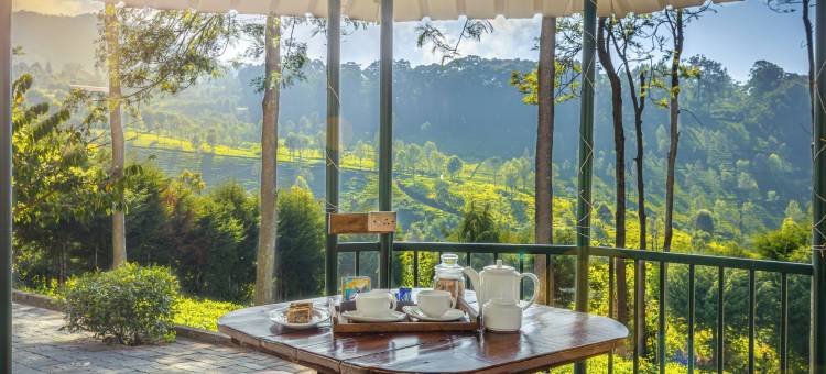 Amã 旅行者阿伯丁，Coonoor(Amã Stays & Trails Aberdeen, Coonoor)图片