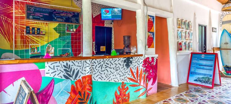 Socialtel 马德拉斯(Socialtel Maderas - Formerly Selina Maderas)图片