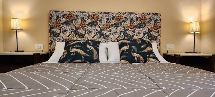 绿洲山农场酒店(Oasis Hill Icod de Los Vinos)图片