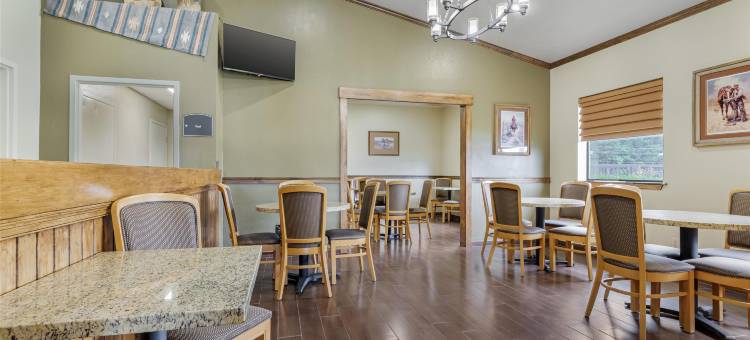 廷伯里奇贝斯特韦斯特酒店(Best Western TimberRidge Inn)图片