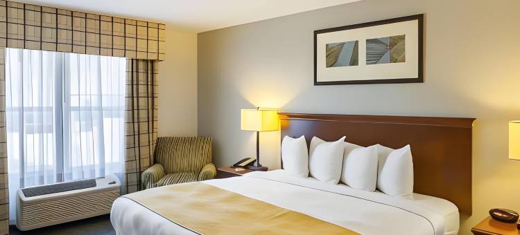 路易斯维尔丽怡酒店(Country Inn & Suites by Radisson, Lewisville, TX)图片