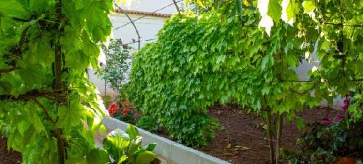 Hostal Los Rosales图片