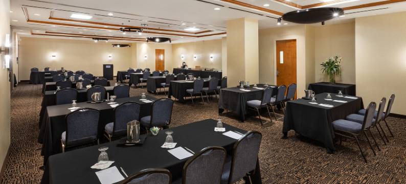 蒙特利尔中心希尔顿花园酒店(Hilton Garden Inn Montreal Centre-Ville)图片