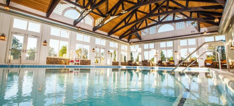 达莱坞梦想度假村(Dollywood's DreamMore Resort and Spa)图片