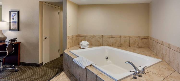 舒适套房酒店罗谢尔 - 迪卡尔布(Comfort Inn & Suites Rochelle - DeKalb)图片