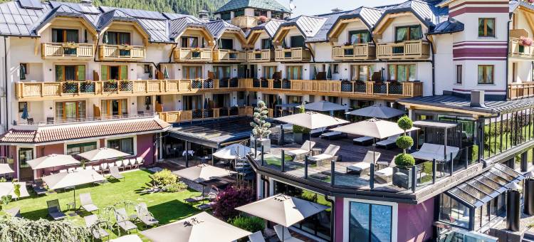 特韦尼多洛米特魅力酒店(Tevini Dolomites Charming Hotel)图片