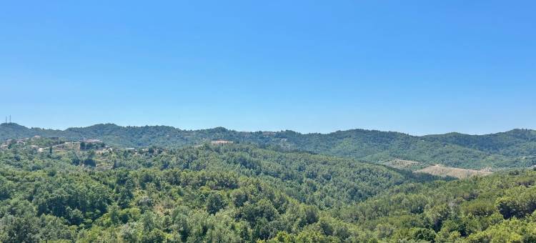 伊舍姆绿景公寓(Ishëm Greenview Apartments)图片