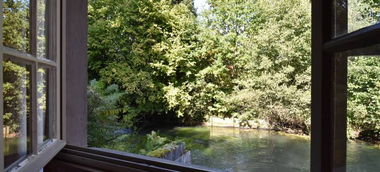 Cottage Near the Mill Pond with a Beautiful Garden图片