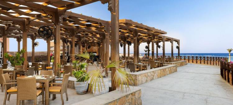诺富特马萨阿拉姆酒店(Novotel Marsa Alam Beach Resort)图片