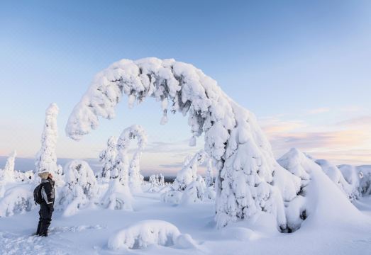 Postmaster Hotel Hotel Overview