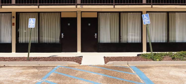 弗朗西斯酒店(Hotel Francis)图片