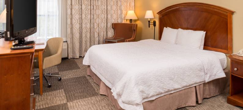 圣安东尼奥石橡树希尔顿欢朋酒店(Hampton Inn San Antonio Stone Oak)图片