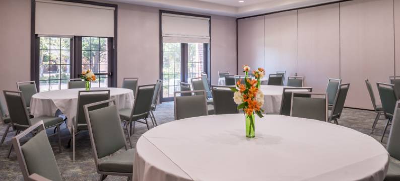 达拉斯艾迪生假日套房酒店(Holiday Inn & Suites DALLAS-ADDISON by IHG)图片