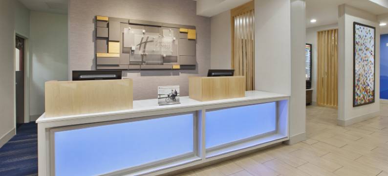 奈尔斯智选假日酒店(Holiday Inn Express & Suites NILES by IHG)图片