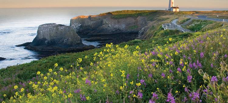 许吾纳河域酒店(WorldMark Schooner Landing)图片