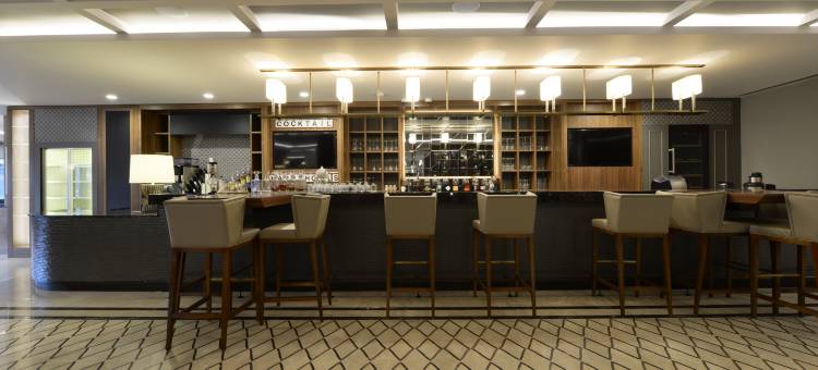 布尔萨市中心假日酒店(Holiday Inn BURSA - CITY CENTRE by IHG)图片