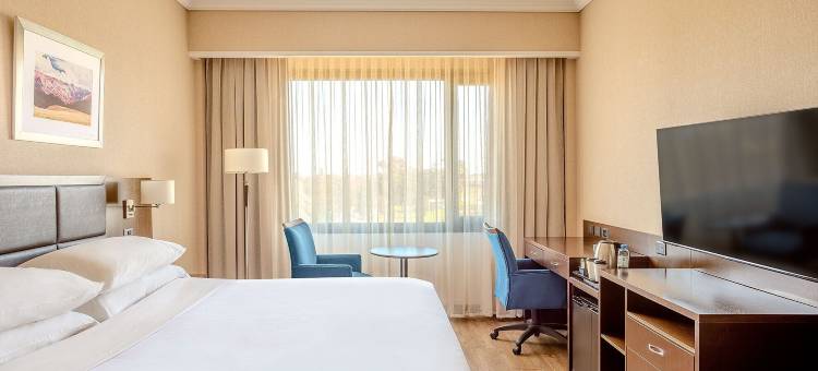 布宜诺斯艾利斯埃塞萨机场万豪酒店(Hotel Buenos Aires Ezeiza Airport)图片