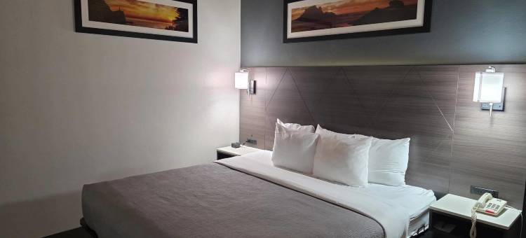 品质酒店(Quality Inn)图片