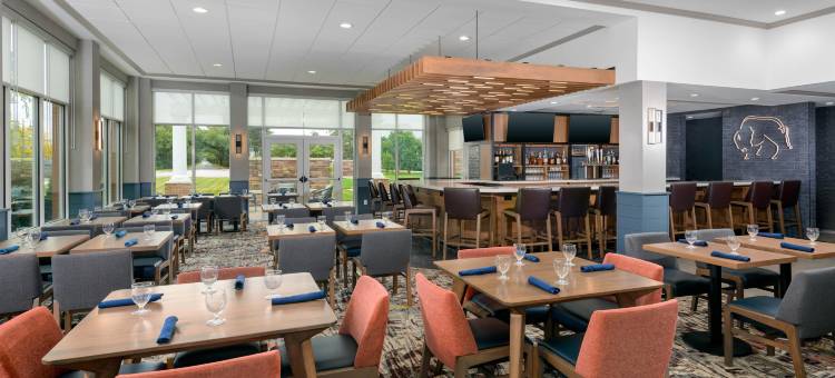 客栈水牛城机场希尔顿花园酒店(Hilton Garden Inn Buffalo Airport)图片