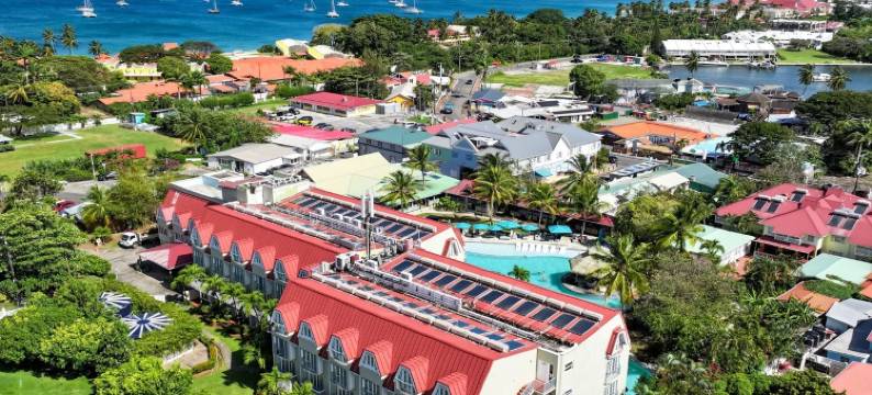 可可棕榈(Coco Palm)图片