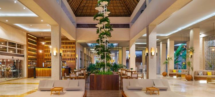 芭拉迪莎酒店拉佩拉全包式住宿 - 限成人- 玛雅海滨(Paradisus la Perla Adults Only R. Maya)图片