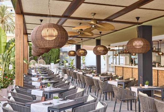 Tomir Portals Suites - Adults Only Hotel Overview