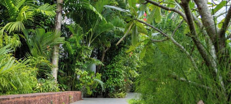 CASA by Tribhav图片