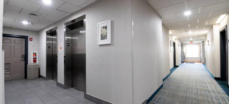 宾州西哈里斯堡 - 赫尔希西丽怡酒店(Country Inn & Suites by Radisson, Harrisburg - Hershey West, PA)图片