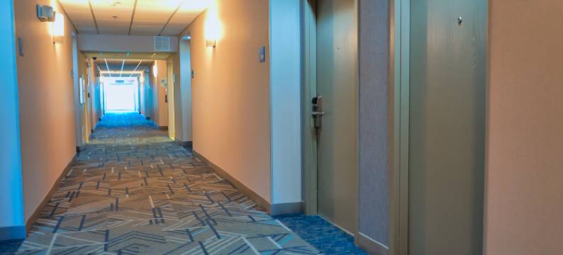 坦帕奥尔兹马智选假日酒店及套房(Holiday Inn Express & Suites TAMPA NORTHWEST-OLDSMAR by IHG)图片