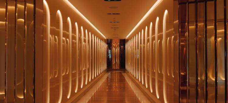 纽约FAENA酒店(Faena New York)图片