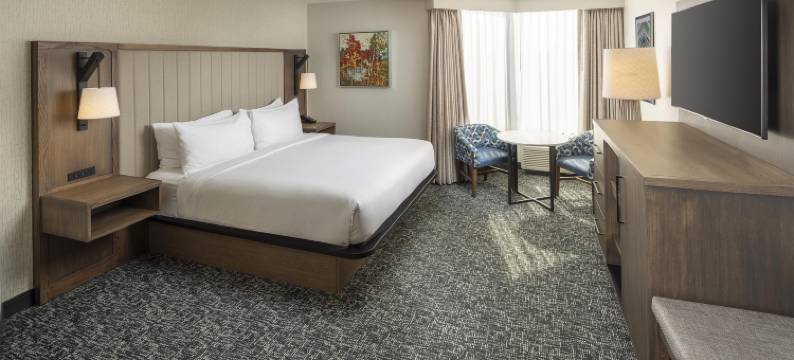 默夫里斯伯勒逸林酒店(DoubleTree by Hilton Hotel Murfreesboro)图片