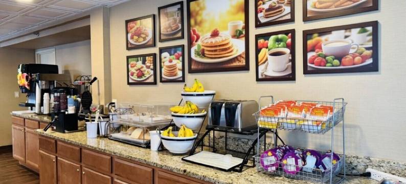 乌蒂卡蔚景温德姆酒店(Wingate by Wyndham Utica)图片