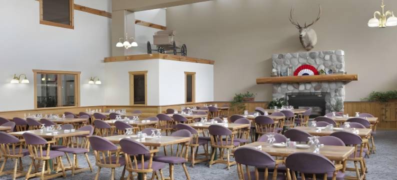 品质酒店及套房(Quality Inn & Suites)图片