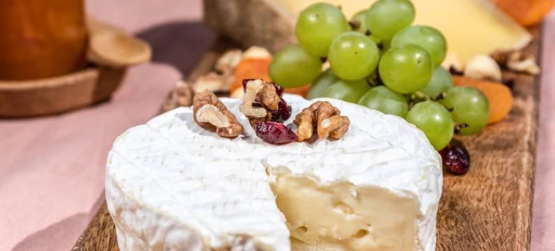 宜必思拉布雷斯热拉尔德梅酒店(Ibis la Bresse Gérardmer)图片