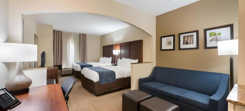 门罗舒适套房酒店(Comfort Suites Monroe)图片