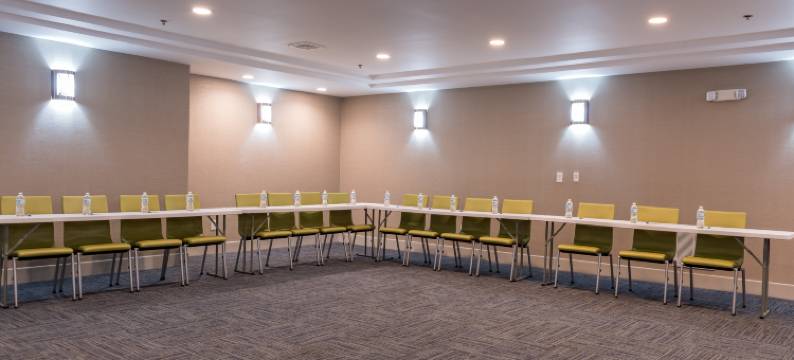 纽因顿-哈特福德智选假日酒店(Holiday Inn Express HARTFORD - NEWINGTON by IHG)图片