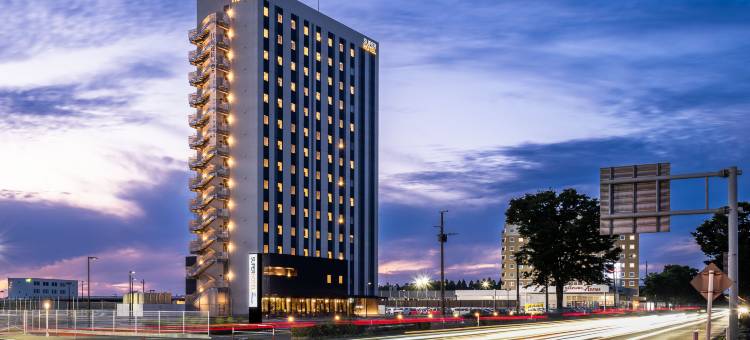 超级酒店 Premier 阿苏熊本机场(SUPER HOTEL Premier Aso Kumamoto Airport)图片