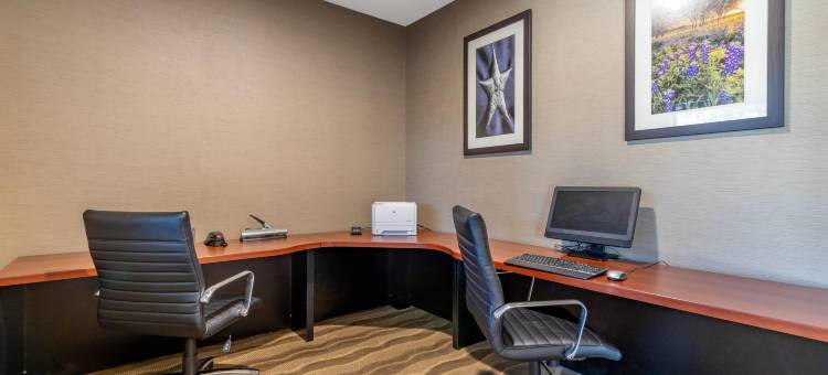 舒适套房酒店-圣安东尼奥北斯通奥克(Comfort Suites San Antonio North - Stone Oak)图片