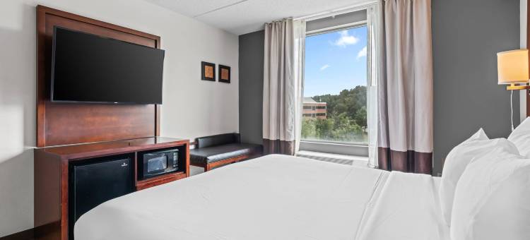 曼纳萨斯战场公园舒适套房酒店(Comfort Suites Manassas Battlefield Park)图片
