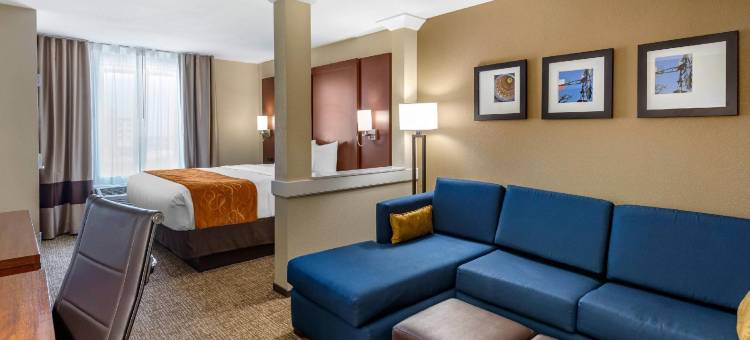 米德兰西舒适套房酒店(Comfort Suites Midland West)图片