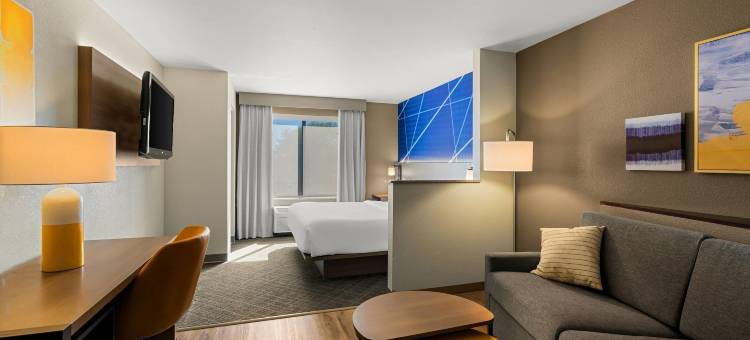 瓦卡拉维尔 - 纳帕谷舒适套房酒店(Comfort Suites Vacaville-Napa Valley Area)图片