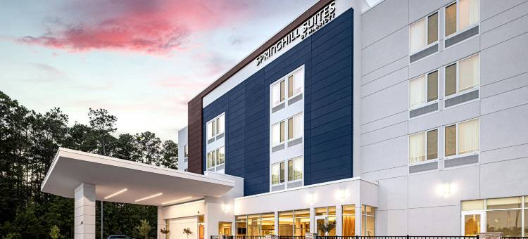 萨凡纳里士满山SpringHill Suites套房(SpringHill Suites Savannah Richmond Hill)图片