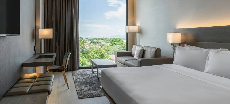 AC旧金山荷塞机场贝伦酒店(AC Hotel San Jose Airport Belen)图片