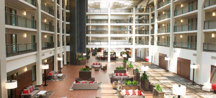底特律利沃尼诺维希尔顿安泊酒店(Embassy Suites by Hilton Detroit Livonia Novi)图片
