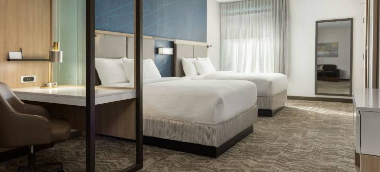 普莱森顿SpringHill Suites酒店(SpringHill Suites Pleasanton)图片